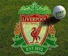 Liverpool FC Amblemi